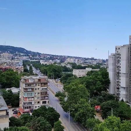 студио тони 2 *