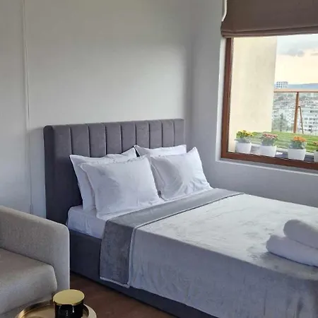 Apartman студио тони 2 *