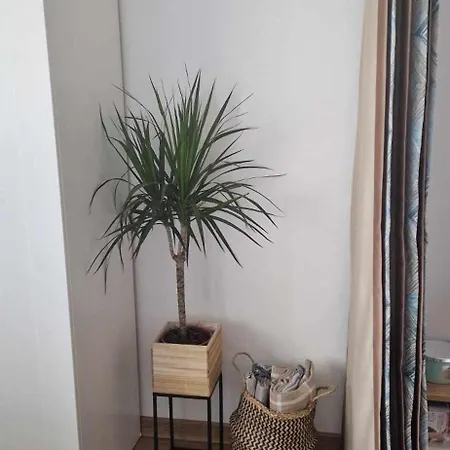 Apartman студио тони 2 Várna