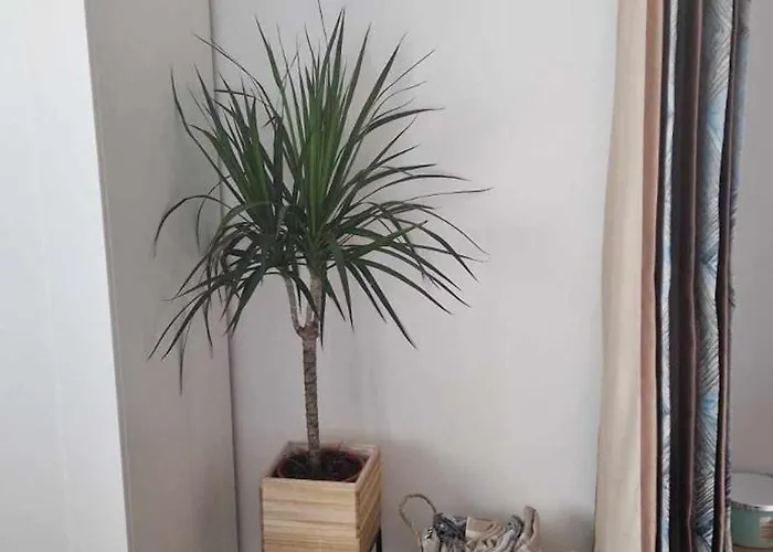 Apartament студио тони 2 с панорамна тераса и морска гледка Warna